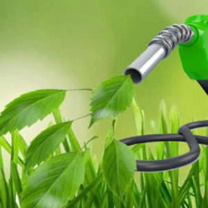 A partir de este año, ya es posible introducir hasta un 10% de bioetanol renovable en nuestras gasolinas