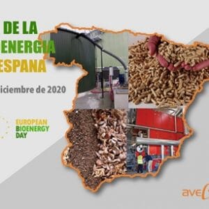 Día de la Bioenergía en España Día de la Bioenergía en España
