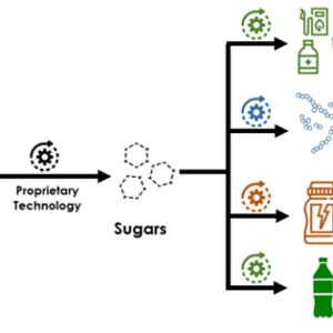 Una start-up portuguesa aspira a liderar la producción de bioetanol de segunda generación Una start-up portuguesa aspira a liderar la producción de bioetanol de segunda generación