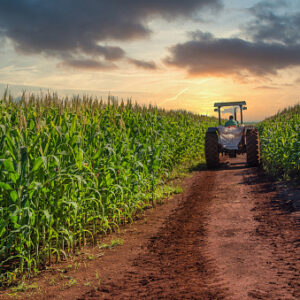 La producción de etanol a base de maíz aumenta un 58% en Brasil