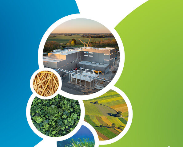 Informe anual de actividad 2020 de BBI JU (Industrias de base biológica)