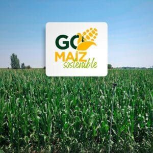 Bio-E parte del proyecto «MaízSostenible» Bio-E parte del proyecto «MaízSostenible»