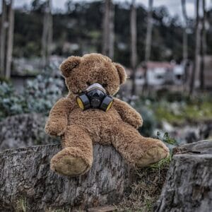 El bioetanol sostenible será el gran beneficiado de la auditoria obligatoria para detener la deforestación El bioetanol sostenible será el gran beneficiado de la auditoria obligatoria para detener la deforestación