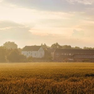 Menos preocupación, más ocupación: el campo necesita una estrategia industrial Menos preocupación, más ocupación: el campo necesita una estrategia industrial