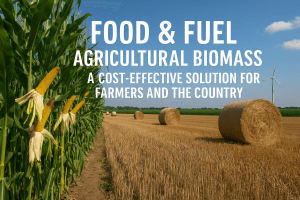 informe beneficios bioetanol de cultivos