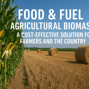 Un nuevo informe europeo confirma los beneficios del uso de cultivos alimentarios para biocombustibles Un nuevo informe europeo confirma los beneficios del uso de cultivos alimentarios para biocombustibles