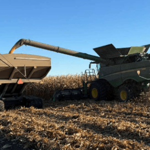 Tras la crisis del azúcar seguimos mirando a otro lado.