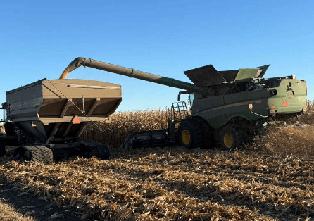 Tras la crisis del azúcar seguimos mirando a otro lado. Tras la crisis del azúcar seguimos mirando a otro lado.